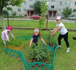 превью записи