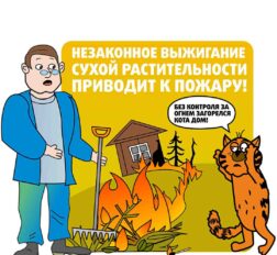 превью записи