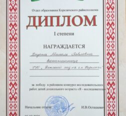 превью записи