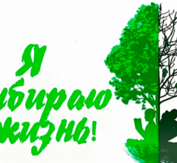 превью записи